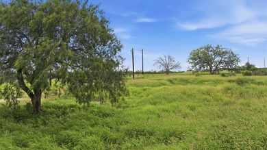 Prime 10-acre tract on Hwy 72 directly across from Choke Canyon - photo 2