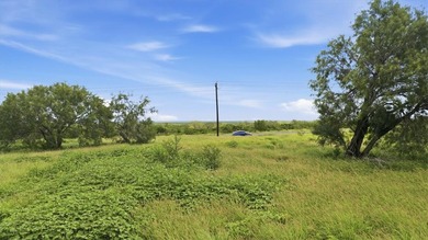 Prime 10-acre tract on Hwy 72 directly across from Choke Canyon - photo 3