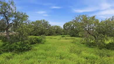 Prime 10-acre tract on Hwy 72 directly across from Choke Canyon - photo 4