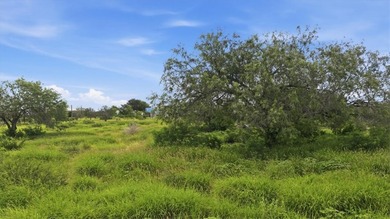 Prime 10-acre tract on Hwy 72 directly across from Choke Canyon - photo 5