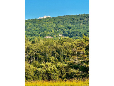 AN EXTRAORDINARY OPPORTUNITY TO CREATE ONE OF THE HUDSON - photo 11