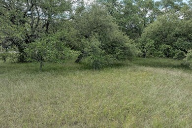 Beautiful fairly level lot with mature trees located at the end - photo 3
