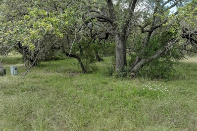 Beautiful fairly level lot with mature trees located at the end - photo 4