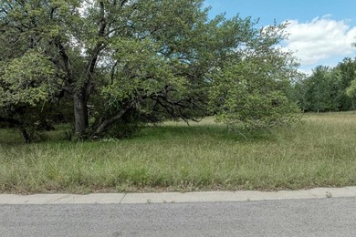 Beautiful fairly level lot with mature trees located at the end - photo 5