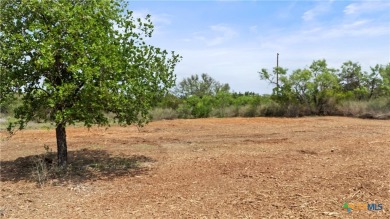 Lake Lot For Sale in Kingsland, Texas
