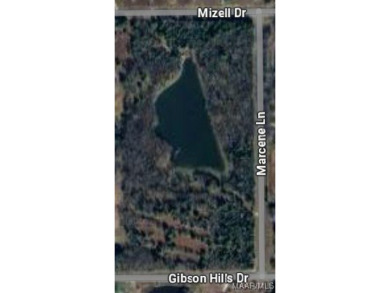 Lake Acreage For Sale in Montgomery, Alabama
