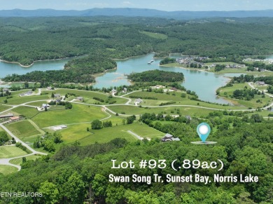 Lake Lot For Sale in Sharps Chapel, Tennessee