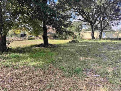 Vacant Land for development - photo 3