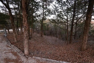 Mountain Park Drive is just minutes from Arbuckle Lake. This - photo 26