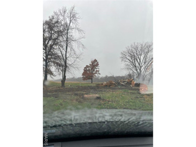 (private lake, pond, creek) Acreage For Sale in La Belle Missouri