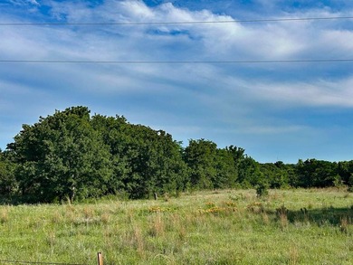 Acres: 36 +/- Acres. Price: $5,000 per acre or $180,000. Animal - photo 2