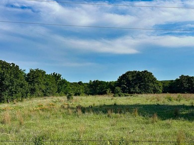 Acres: 36 +/- Acres. Price: $5,000 per acre or $180,000. Animal - photo 3