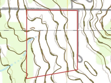 Acres: 36 +/- Acres. Price: $5,000 per acre or $180,000. Animal - photo 9