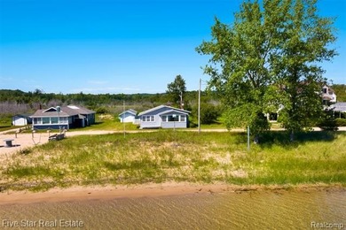 Nestled along the north shore of Portage Lake with 68 feet of - photo 30