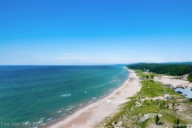 Nestled along the north shore of Portage Lake with 68 feet of - photo 31