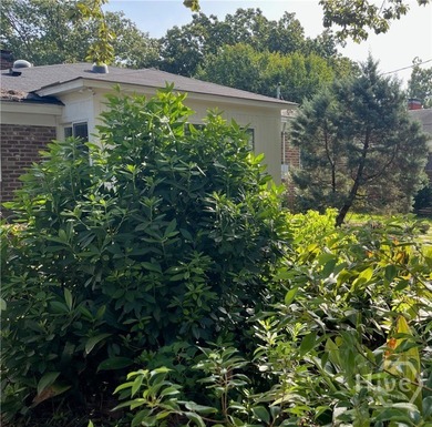 Charming bungalow located in the Ardsley Park area. Split - photo 36