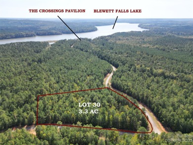 Blewett Falls Lake Acreage Sale Pending in Lilesville North Carolina
