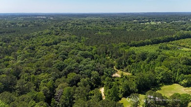 This 96+/--acre tract in Simpson County offers river frontage - photo 2