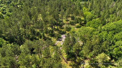 This 96+/--acre tract in Simpson County offers river frontage - photo 3