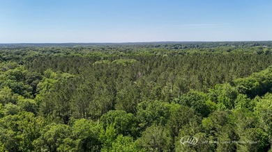 This 96+/--acre tract in Simpson County offers river frontage - photo 5
