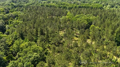 This 96+/--acre tract in Simpson County offers river frontage - photo 6