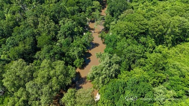 This 96+/--acre tract in Simpson County offers river frontage - photo 7