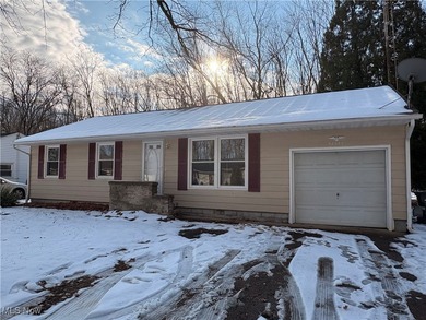 (private lake, pond, creek) Home For Sale in Elyria Ohio