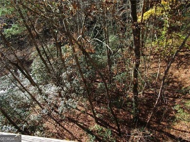 Rare opportunity to buy in the Alpines of Helen! Beautifully - photo 27
