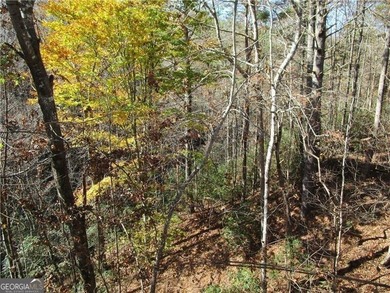 Rare opportunity to buy in the Alpines of Helen! Beautifully - photo 28