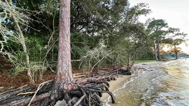 Beautiful waterfront lot to build your dream home. Breathtaking - photo 3