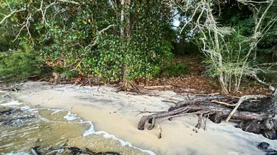 Beautiful waterfront lot to build your dream home. Breathtaking - photo 4