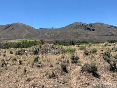 East Fork acreage with riverfront. Approx. 7.26 acres crossing - photo 14