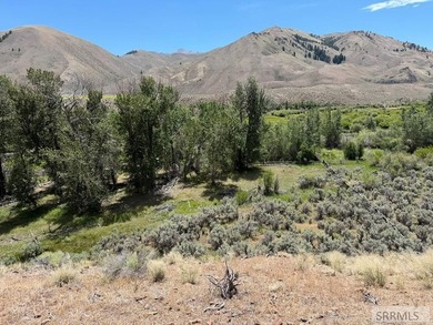 East Fork acreage with riverfront. Approx. 7.26 acres crossing - photo 15