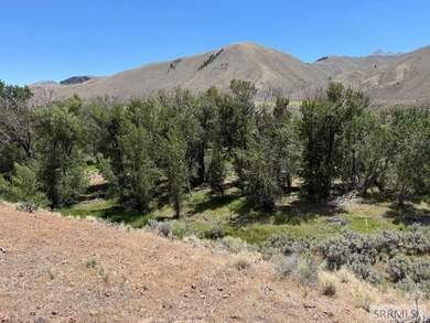 East Fork acreage with riverfront. Approx. 7.26 acres crossing - photo 16