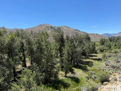 East Fork acreage with riverfront. Approx. 7.26 acres crossing - photo 17