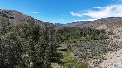 East Fork acreage with riverfront. Approx. 7.26 acres crossing - photo 18