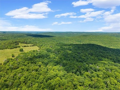 This premier 960-acre Northwest Arkansas property features - photo 19