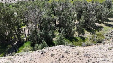 East Fork acreage with riverfront. Approx. 7.26 acres crossing - photo 19