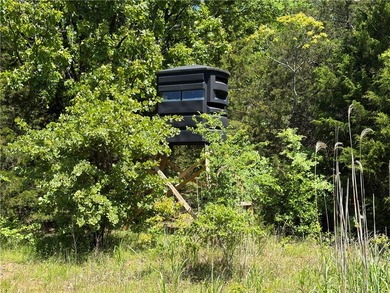 This premier 960-acre Northwest Arkansas property features - photo 20