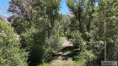 East Fork acreage with riverfront. Approx. 7.26 acres crossing - photo 20