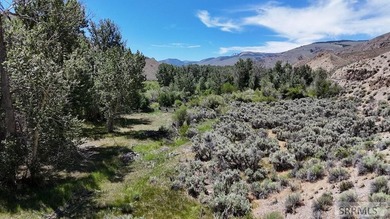 East Fork acreage with riverfront. Approx. 7.26 acres crossing - photo 21