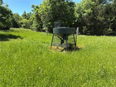 This premier 960-acre Northwest Arkansas property features - photo 22