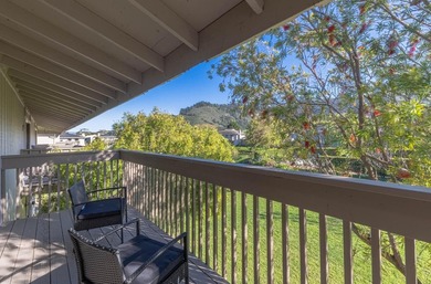 One of the largest updated Arroyo Carmel residences currently - photo 22