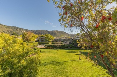 One of the largest updated Arroyo Carmel residences currently - photo 23