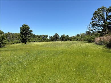 This premier 960-acre Northwest Arkansas property features - photo 26
