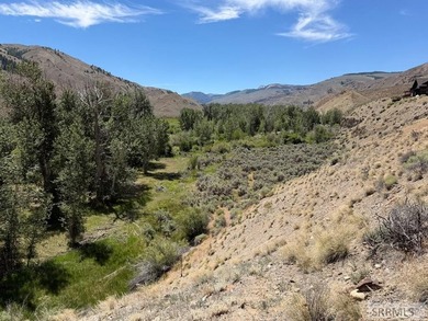 East Fork acreage with riverfront. Approx. 7.26 acres crossing - photo 26