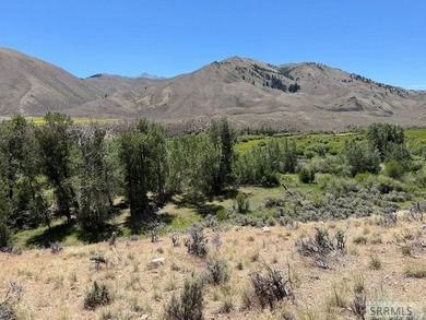 East Fork acreage with riverfront. Approx. 7.26 acres crossing - photo 27