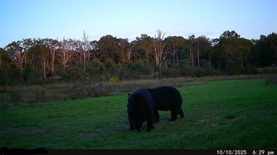 This premier 960-acre Northwest Arkansas property features - photo 29
