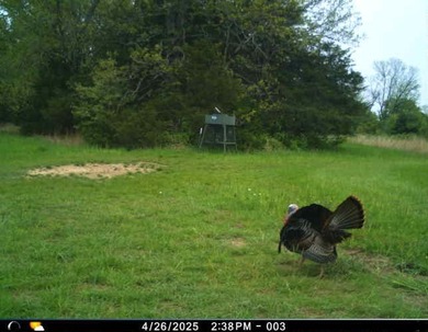 This premier 960-acre Northwest Arkansas property features - photo 30