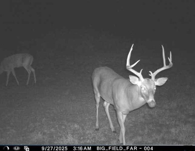 This premier 960-acre Northwest Arkansas property features - photo 31
